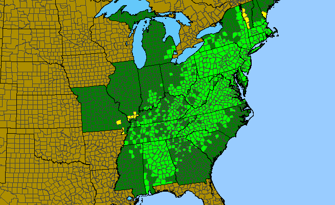 The range of Quercus montana